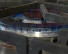 Коболев рассказал о ценах на газ. Фото: скрин youtube