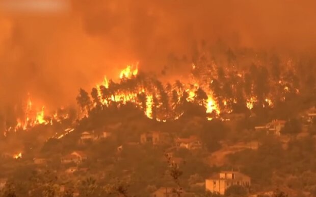 Пожар в лесу. Фото: скриншот YouTube