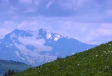 Природа. Фото: скриншот YouTube-видео