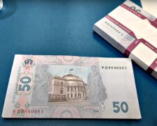 Введение "экономического паспорта" в Украине: дети получат от 10 до 20 тысяч долларов – на что можно будет потратить