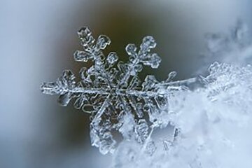 Сніг та мороз до мінус 6: синоптик Діденко попередила про погоду у вівторок 20 листопада