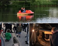 183-сантиметровый сом из озера Балатон в Варшаве