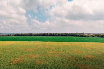 Землі України. Фото: скріншот YouTube-відео.