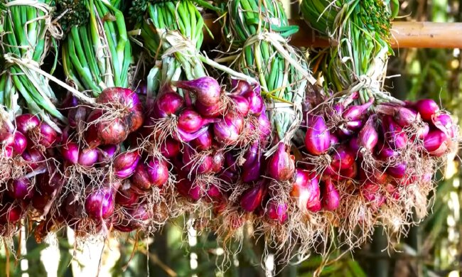 Лук. Фото: YouTube