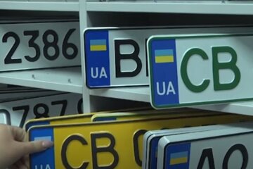 Номерные знаки. Фото: скриншот YouTube-видео