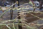 Мороз. Фото: скриншот YouTube-видео