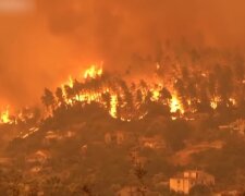 Пожар в лесу. Фото: скриншот YouTube