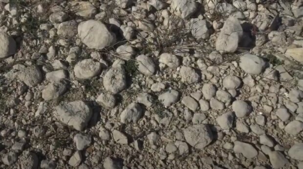 Засуха в Крыму. Фото: YouTube, скрин