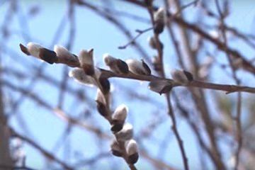 Погода в Украине. Фото: скриншот YouTube