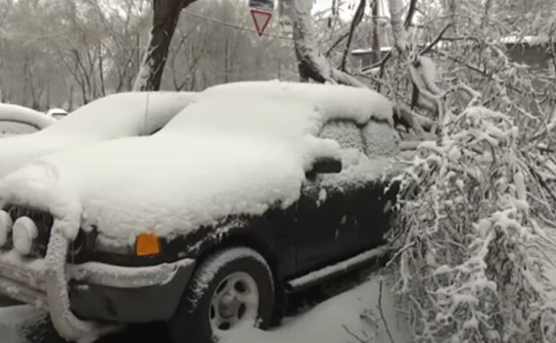 Украину засыпало снегом. Фото: скриншот YouTube