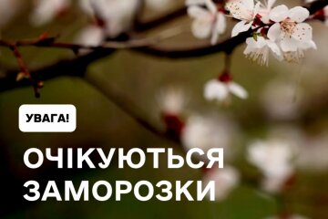 Заморозки, менше вітру та нове похолодання: синоптик Діденко попередила про погоду на завтра