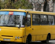На ее месте мог оказаться каждый: киевский маршрутчик набросился на пассажирку, что произошло