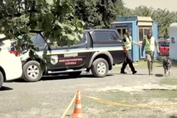 Появилась новая версия расстрела на Житомирщине. Фото: Национальная полиция Украины, скрин
