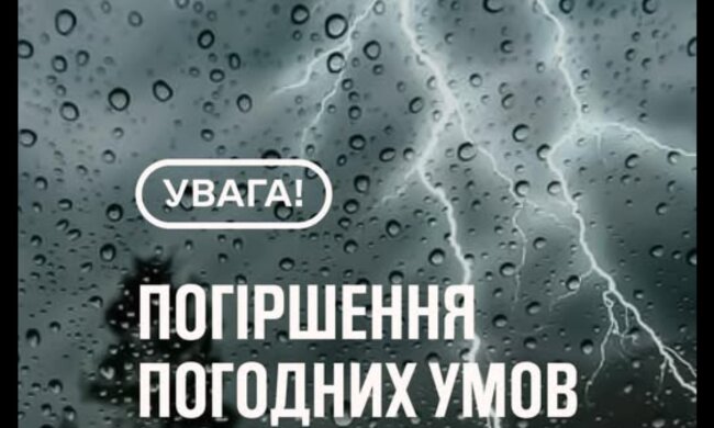 Ветер будет ломать деревья и собачий холод: синоптик Диденко предупредила, теплая не будет – погода на завтра, 1 июля