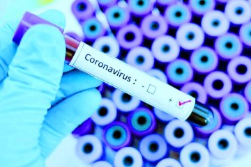 Тест на коронавирус. Фото: 112 Украина