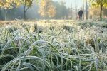 Заморозки. Фото: скриншот YouTube