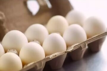 Яйця. Фото: YouTube