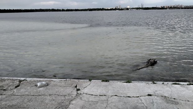 Главную реку Украины превратили в канализацию в Днепре: "Вонь стоит за квартал"