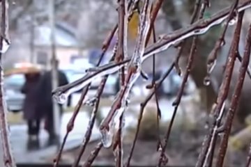 Заморозки в Украине. Фото: ТСН