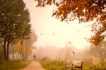 Климатологи предупредили об аномальной осени. Фото: YouTube