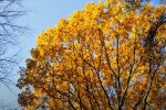 Осень. Фото: скриншот YouTube-видео