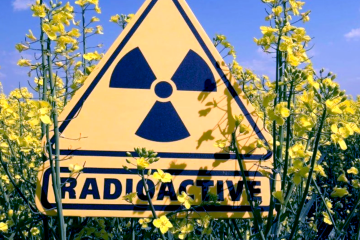 У Чорнобилі зняли щось незвичне. Фото: YouTube