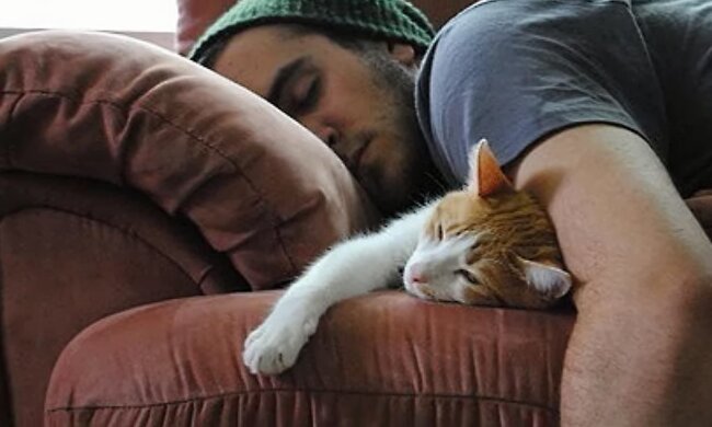 Жара. Фото: YouTube