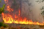Появилось видео масштабных пожаров в Сибири