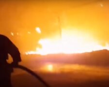 Пожары на Луганщине. Фото: скриншот видео