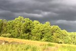 Погода в Україні. Фото: скріншот YouTube-відео