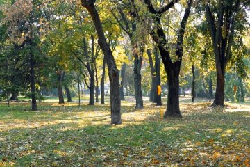 Осень. Фото: скриншот YouTube-видео