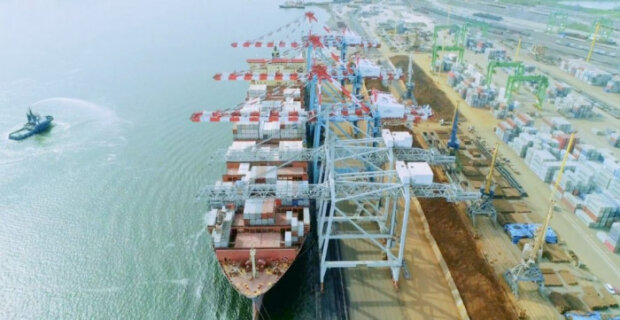 Контейнерний термінал TIS у порту Південний, де MSC придбала 51%