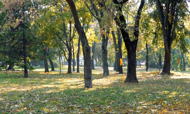 Осінь. Фото: скріншот YouTube-відео