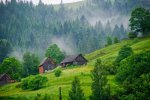 Карпаты