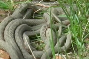 Харьков.Фото: скриншот YouTube