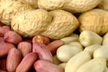 Орехи. Фото: youtube.com