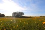 Сонячна погода. Фото: скріншот YouTube-відео