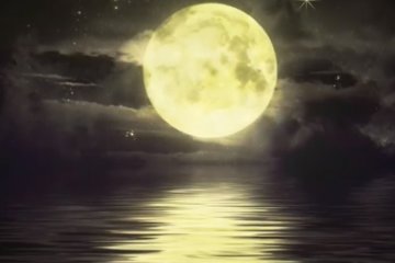 Гороскоп на 28 февраля 2020 года