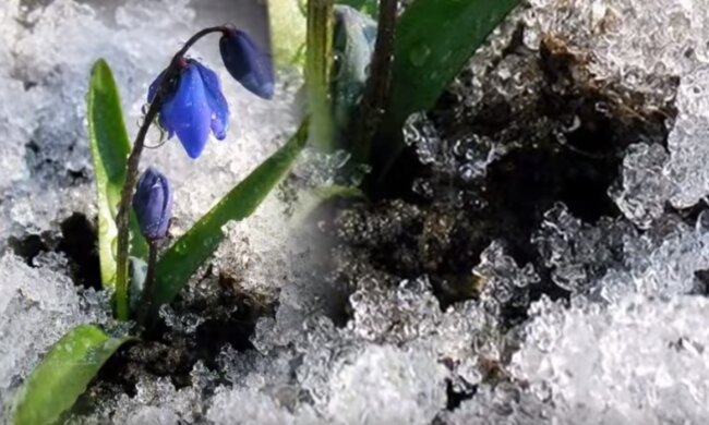 Дощі і різке похолодання: синоптики назвали області, де 17 березня стане холодно