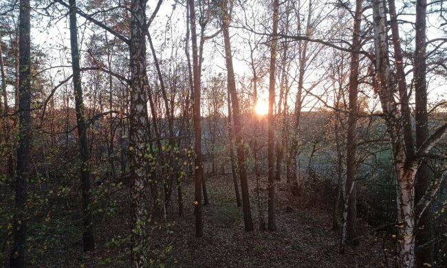 Погода на завтра. Фото: Стена