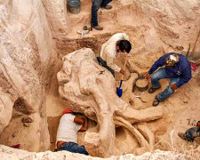 Археологи нашли "кладбище мамонтов"