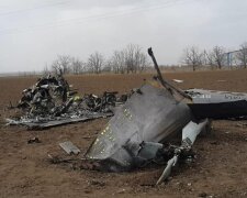 Сбитый самолет РФ. Фото: Facebook