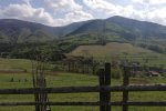 Вот так и без Донбасса остались: украинцам показали закарпатца, который не признает себя украинцем. Видео "ошарашило" сеть