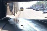 Улица превратилась в реку, а мост - в водопад: Киев опять заливает, причины