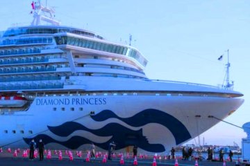 Круизный лайнер Diamond Princess, фото: DW