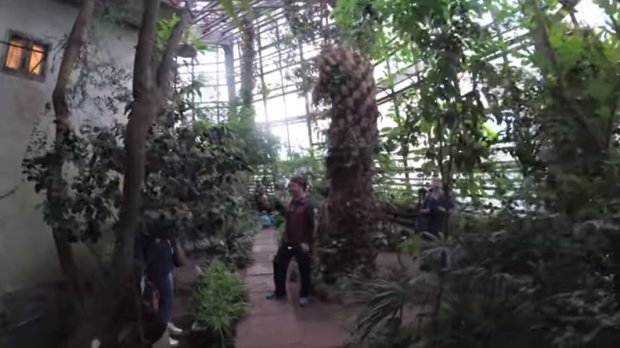 Ботанический сад в Днепре. Фото: скриншот YouTube