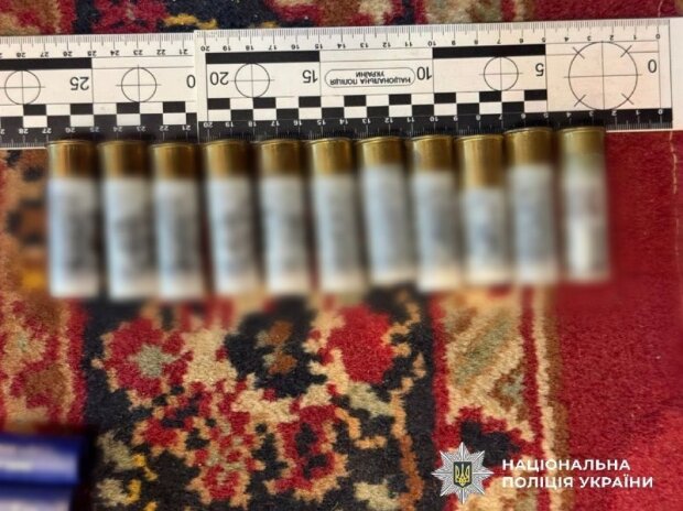 Корпуси гранат Ф-1 і РГН, підривачі та набої, вилучені поліцією Київщини
