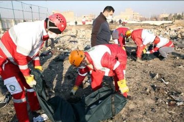 Последствия крушения самолета “МАУ", скриншот ЕРА