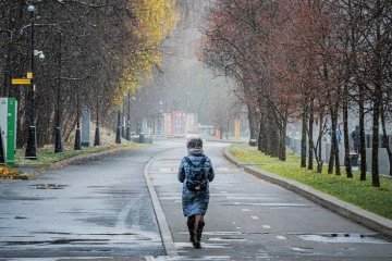 Аномальная погода в декабре. Фото: globallookpress.com