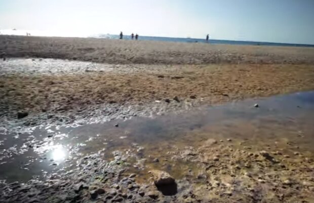 В Крыму пересыхают реки. Фото: скрин YouTube